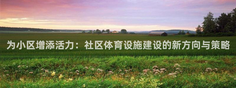 意昂4集团简介：为小区增添活力：社区体育设施建设的新