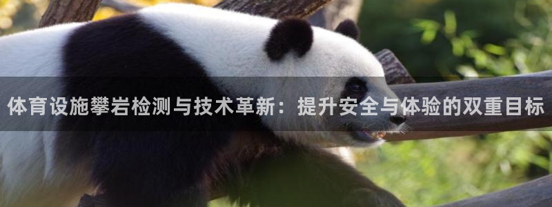 意昂4娱乐：体育设施攀岩检测与技术革新：提升安全与体