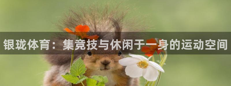 意昂体育4招商电话号码是多少啊：银珑体育：集竞技与休