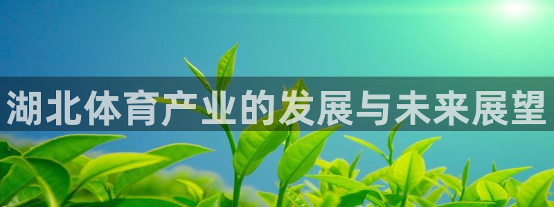 意昂4代理：湖北体育产业的发展与未来展望