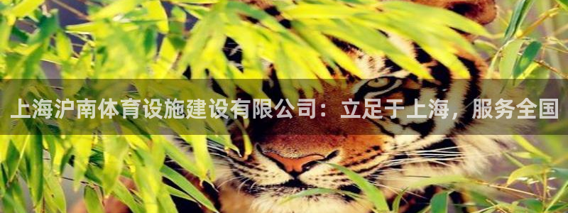 意昂体育4平台是正规平台吗：上海沪南体育设施建设有限